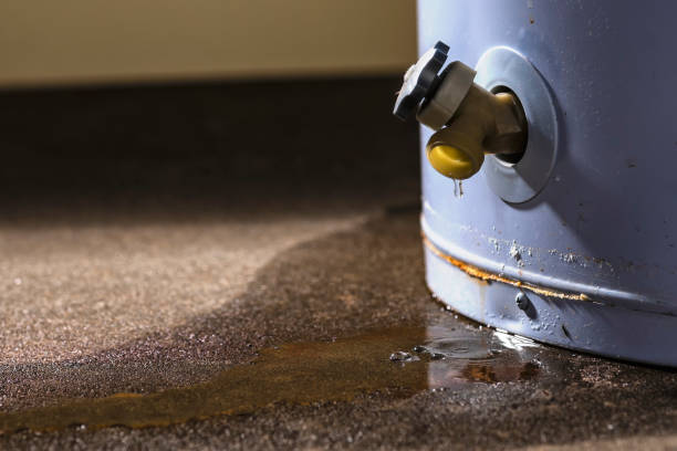 Best Local water damage restoration  in Orangeburg, SC