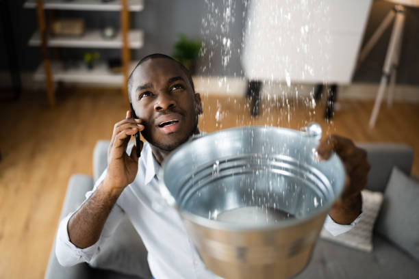 Best Sewage cleanup and water damage restoration  in Orangeburg, SC