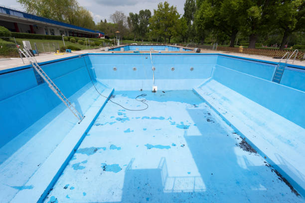 Best Water damage contractors near me  in Orangeburg, SC