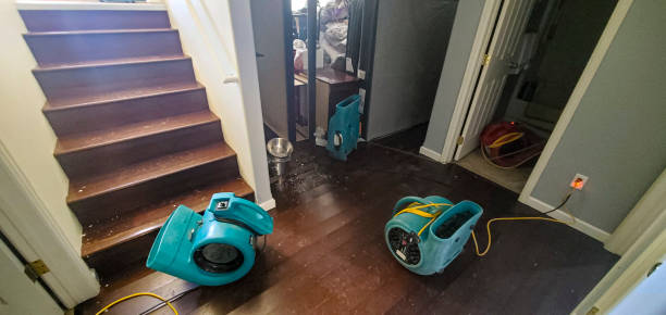 Best 24-hour water damage restoration  in Orangeburg, SC