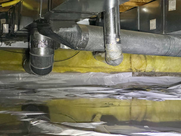 Best Flooded house restoration  in Orangeburg, SC